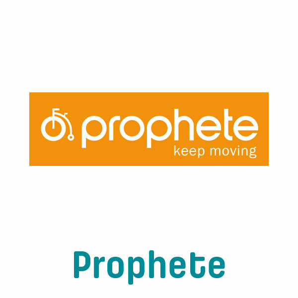 Accu V.8 V.9 (Cranenbroek), Popal en Forza - 36 Volt - 13 Ah - 468 Wh inclusief oplader