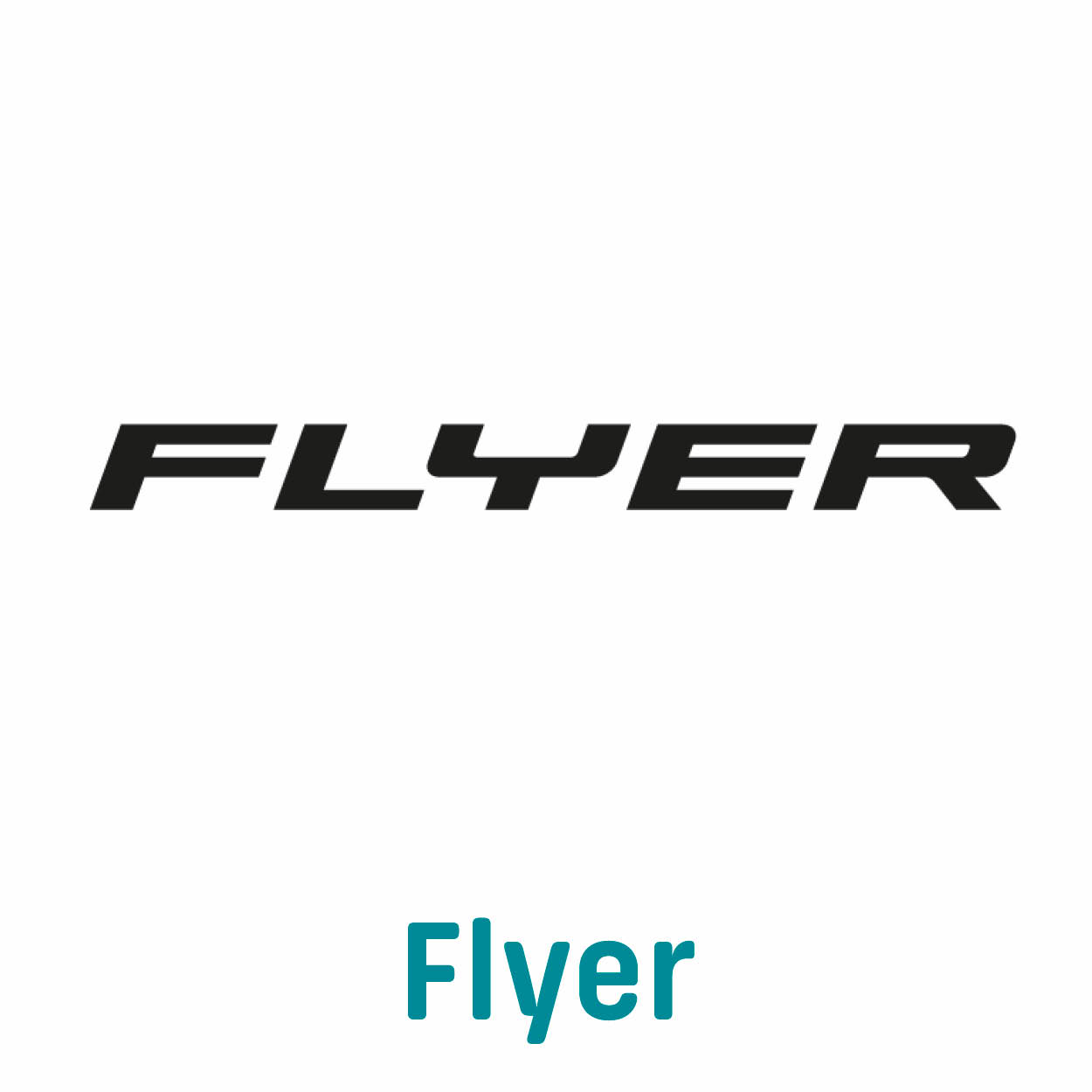 BMZ E-bike acculader 36 V 3 A Impulse EVO, Xion, Brose, Gazelle, Bulls, 28555