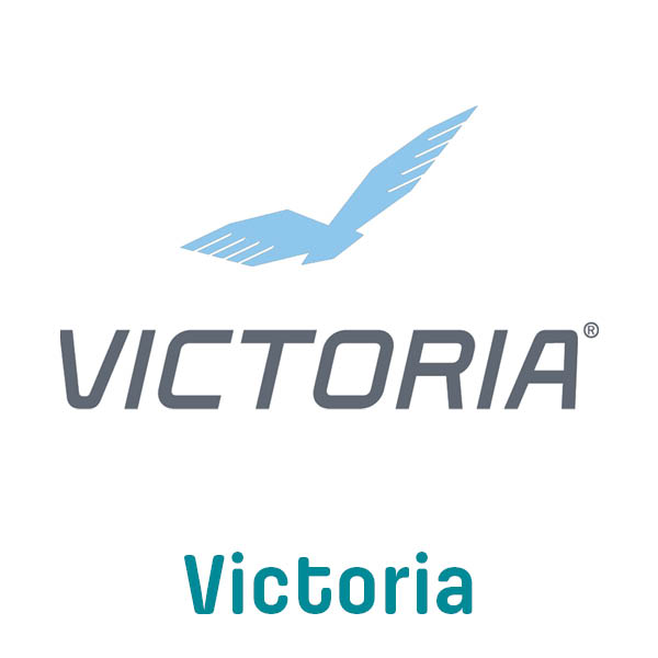 Fietsaccu acculader 36 V 3A Gazelle Impulse EVO, Xion, Brose, Bulls, 28555 Rosenberg connector